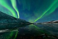 Aurora Northern Polar Licht im Nachthimmel über Nord-Norwegen von Sjoerd van der Wal Fotografie Miniaturansicht