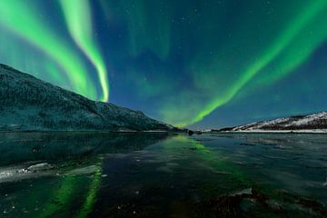 Noorderlicht of poollicht boven Senja in Noord Noorwegen van Sjoerd van der Wal