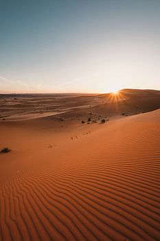 Maroc sahara 6