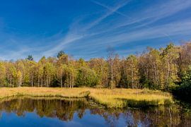 Unterwegs im Nationalpark Rhön von Oliver Hlavaty