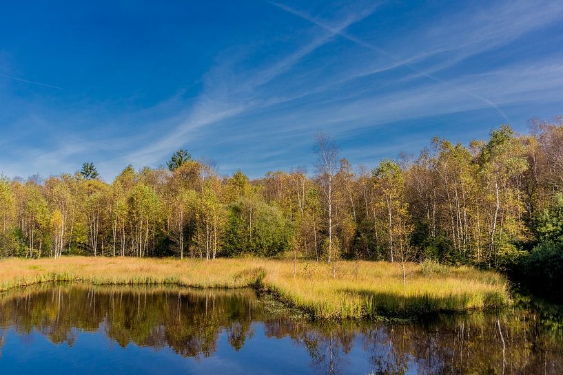 On the way in the Rhön National Park by Oliver Hlavaty