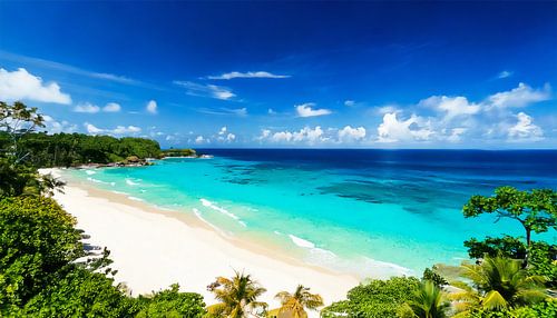 Strand met palmbomen en zee