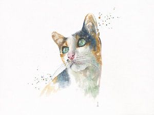 Cat in watercolor by Atelier DT
