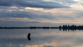 The North Holland landscape is a world full of nature and history