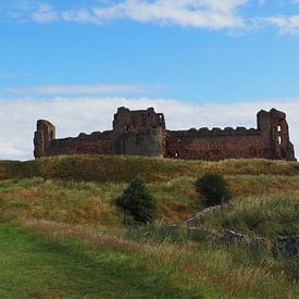 Walking up to Tantallon Castle van Annie Lausberg-Pater