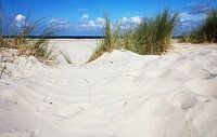Strand en duinen op Terschelling