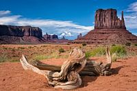 Monument Valley 02