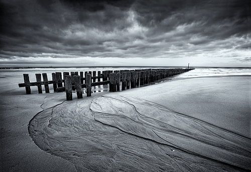 A morning at the beach