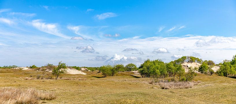 Nature reserve Westenschouwen 3 by Percy's fotografie