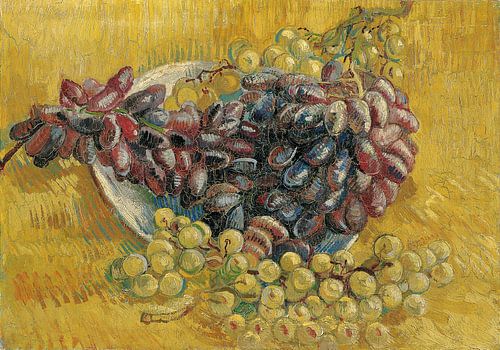 Vincent van Gogh, Druiven