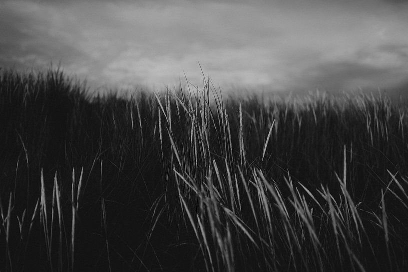 Stoere zwart wit detail foto van de duinen op Ameland van Holly Klein Oonk