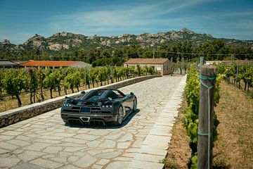 Koenigsegg CCXR von Ricardo van de Bor