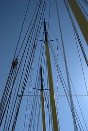 Masten by vikings meisje