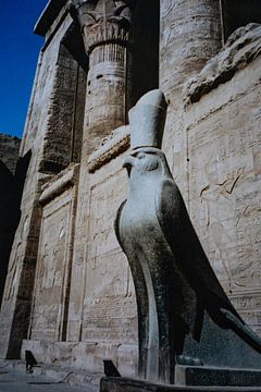 Statue of Horus, Edfu Temple, Egypt by Imladris Images