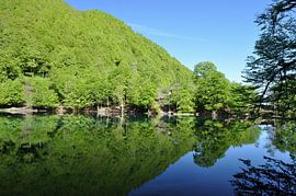 Ruhe am See von Frank Photos