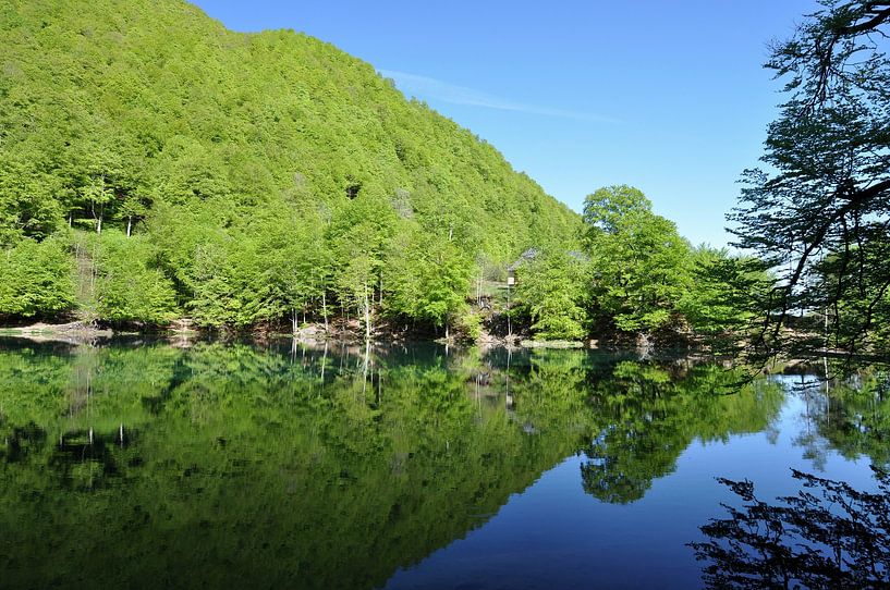Peace and quiet at the lakeside by Frank Photos