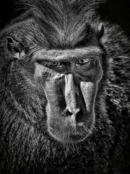 Bad intentions by Maickel Dedeken