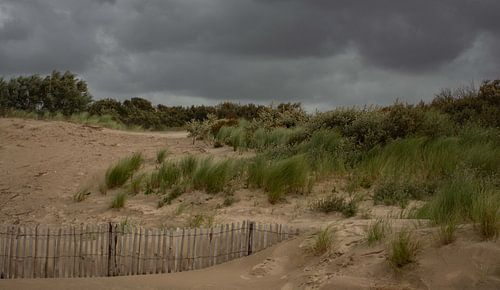 Dünenlandschaft in Zeeland