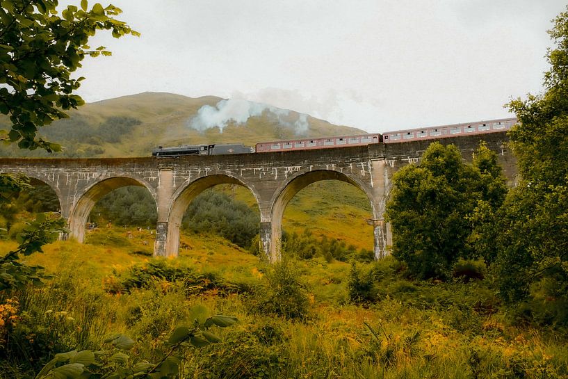 Schottland Glenfinnan Viaduct von Bianca  Hinnen