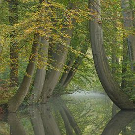 Dansende bomen Twickel van Art Wittingen