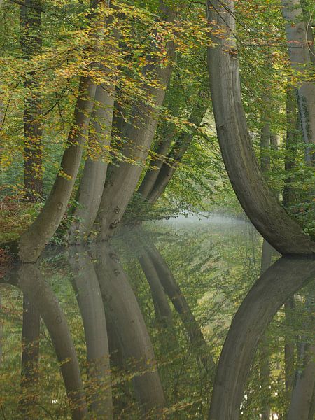 Tanzende Bäume Twickel von Art Wittingen