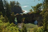 Ruige kustlijn, Oregon, USA van Jeroen van Deel thumbnail