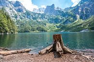 Hinterer Gosausee by Peter Deschepper thumbnail