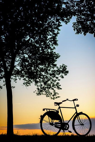 Mit dem Fahrrad in den Sonnenuntergang von Sjoerd van der Wal Fotografie