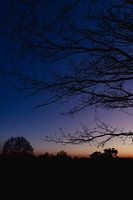 Letztes Licht