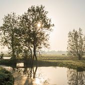Polder landscape