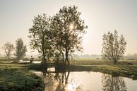 Zonsopkomst in nevelig pitoresk polderlandschap van de Alblasserwaard van Beeldbank Alblasserwaard thumbnail