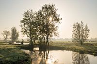 Sunrise in misty picturesque polder landscape