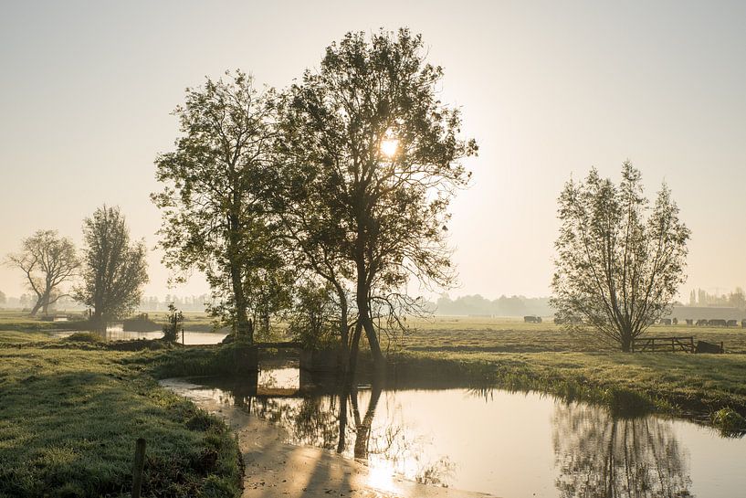 Lever de soleil dans un paysage de polders brumeux et pittoresque par Beeldbank Alblasserwaard