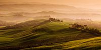 Tuscan Hills