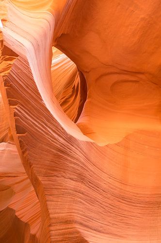 Antelope Lower Canyon 1 - Arizona  - USA
