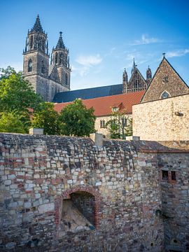 Maagdenburg - Bastionklave en Dom van Maagdenburg van t.ART