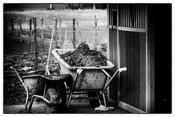 De natuurlijke uitstoot van reivilo fotografie