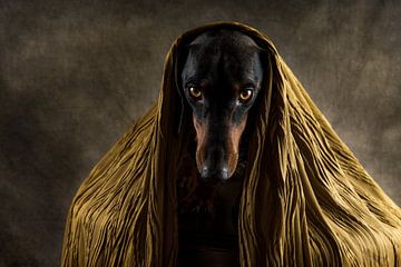 Golden Eyes, Heike Willers by 1x