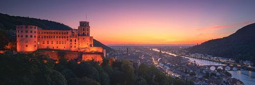Heidelberger Schloss Panorama Sonnenuntergang