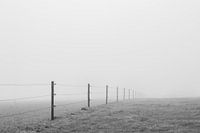 Hek in mist - minimalisme zwart-wit - Limburg - Nederland