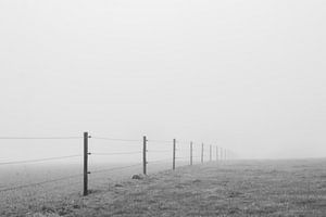 Clôture dans le brouillard