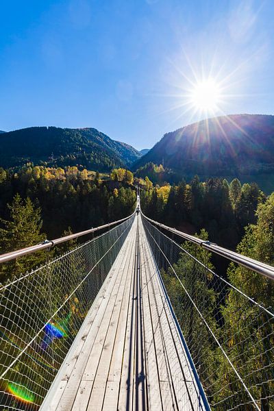 Hängebrücke Goms Bridge in der Schweiz von Werner Dieterich