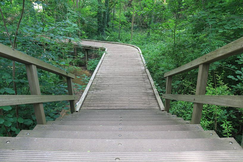 de trap by nicole bol