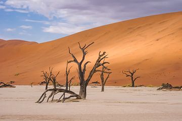 Namibia von Pim van Galen