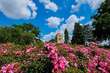 Oude spaanse toren op heldere zomerdag tussen roze rozen van pixxelmixx