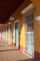 Tropical colors