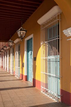 Couleurs tropicales sur Margot van den Berg