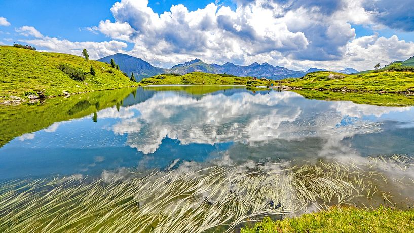 Grassen en wolkentorens aan de Krummschnabelsee van Christa Kramer