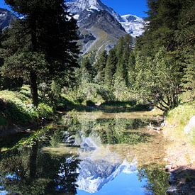 Watertje in de Zwitserse Alpen nabij Arolla van Anne van IJs