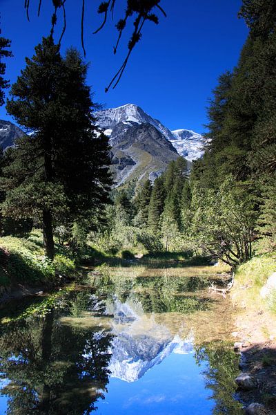 Watertje in de Zwitserse Alpen nabij Arolla van Anne van IJs